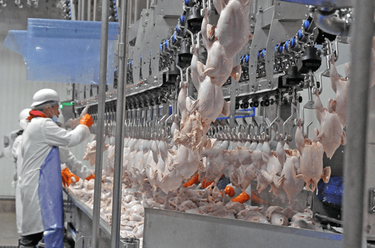 Case Farms 4